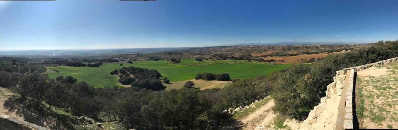 Finca Los Almendros De La Dehesa Сasa de vacaciones La Mata (Toledo)