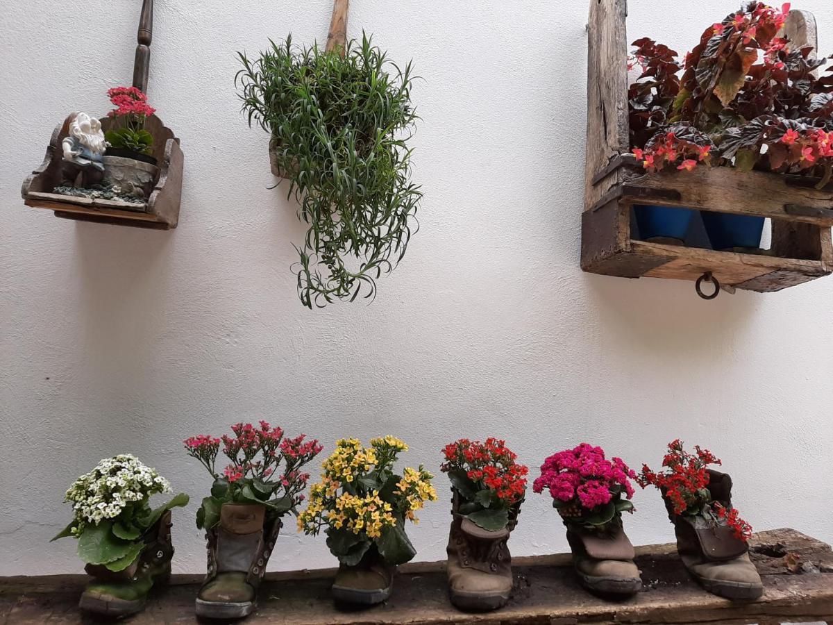 El Rincon De Carmen Country house *