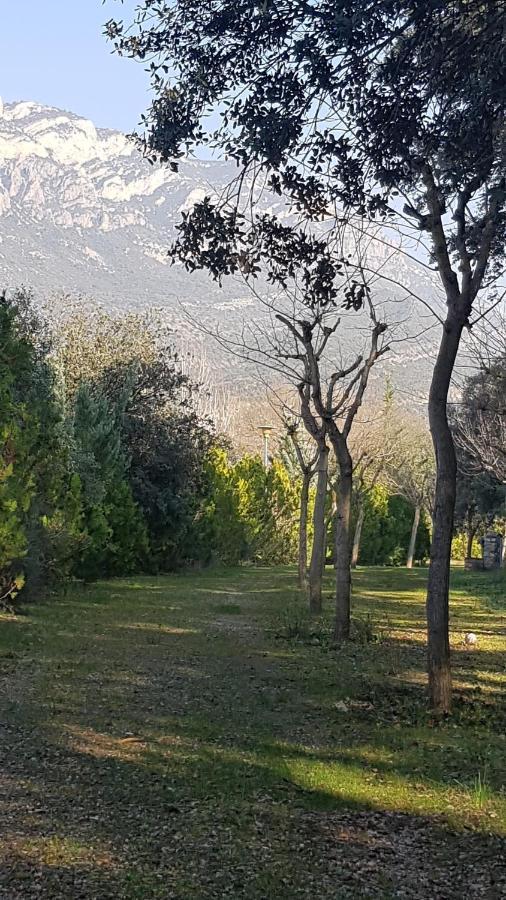 Nou Camping Montsec Ager