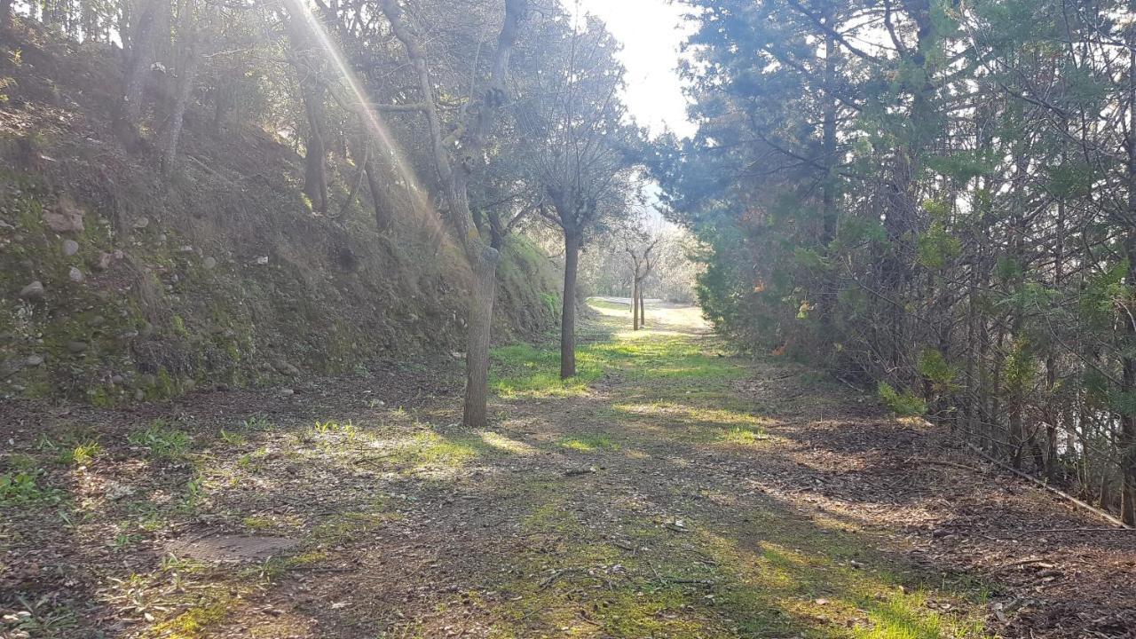 Nou Camping Montsec Camping *