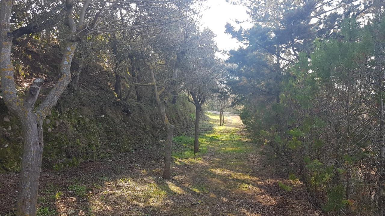 Campsite Nou Camping Montsec *