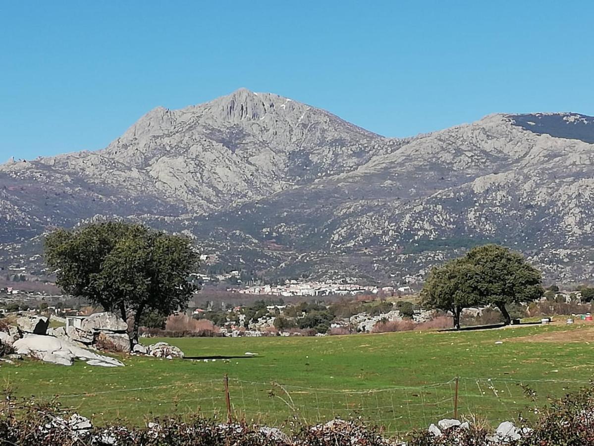Acero Y Piedra Con Jardin Privado *