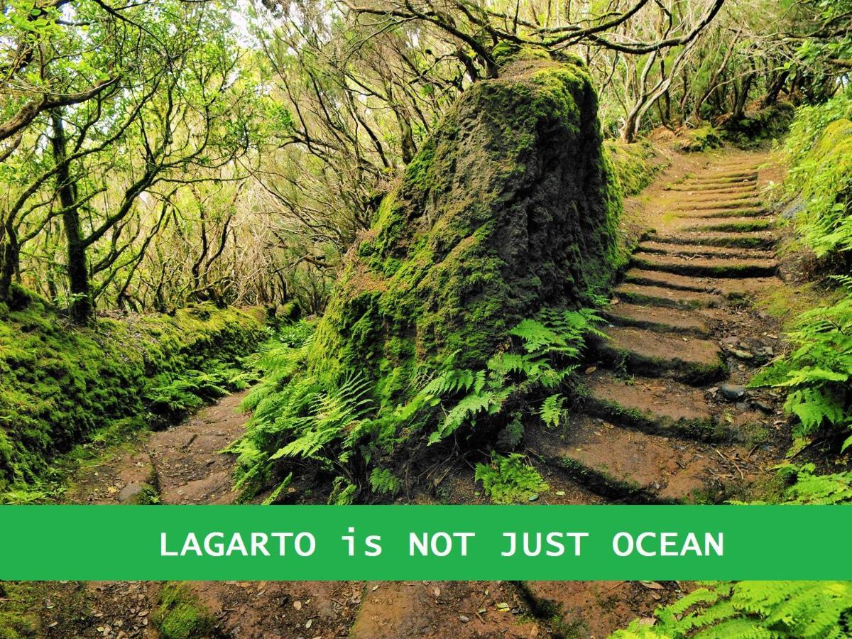 Lagarto Tenerife Valle de Guerra