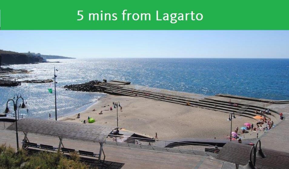 Lagarto Tenerife