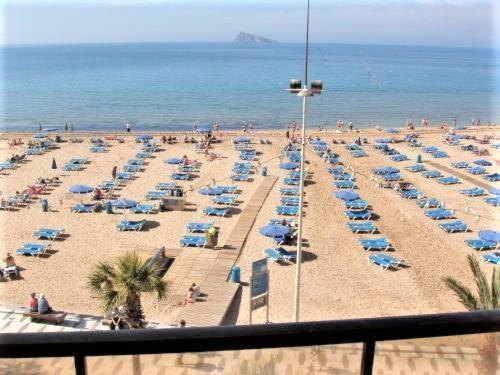 Don Vicente Alquilevante Benidorm