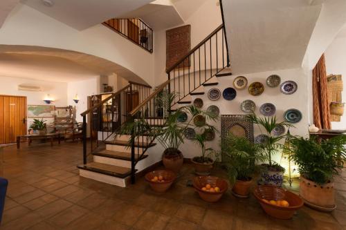 Castaños Hotel Cartajima