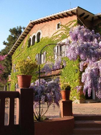 Masia Vista Hermosa *
