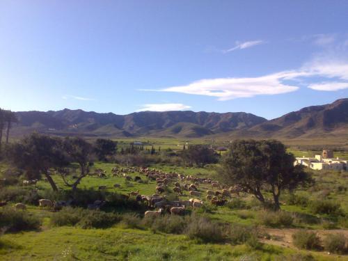 Complejo La Ermita * Rodalquilar