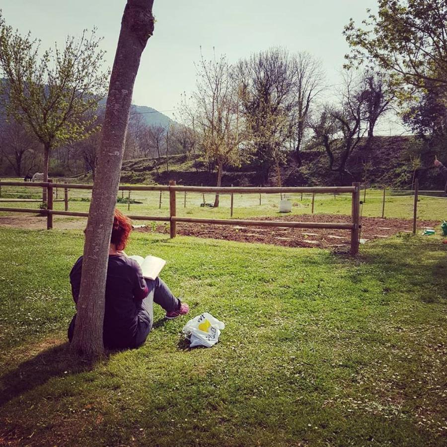 Camping-bungalow La Vall De Campmajor Sant Miquel de Campmajor