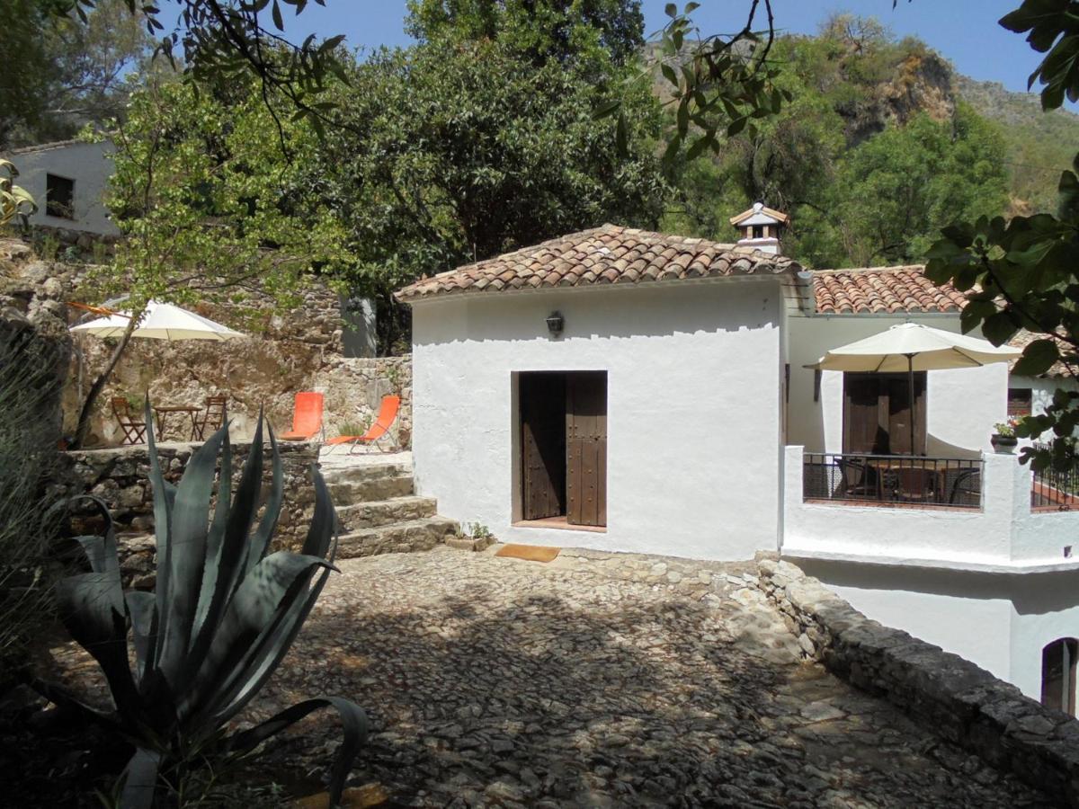 El Pastor Villa Grazalema