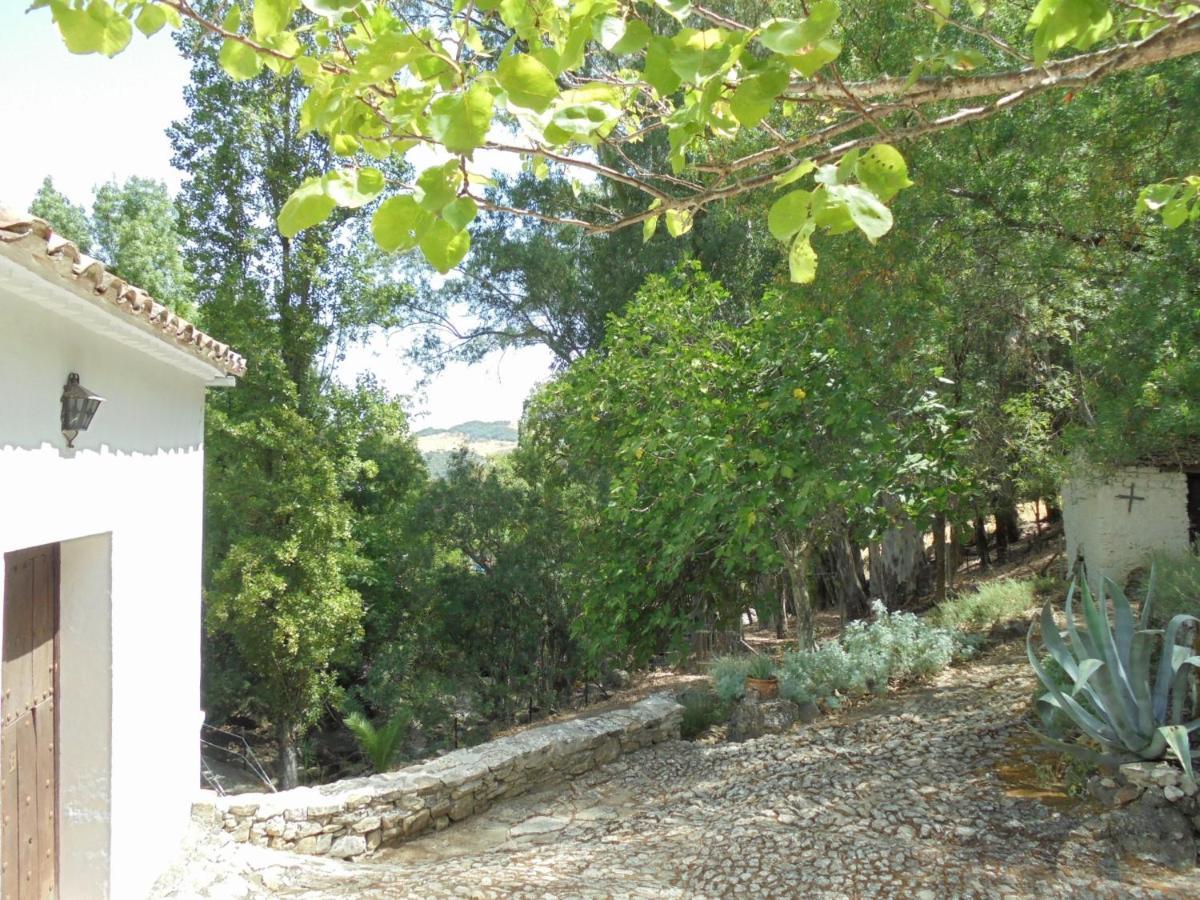 El Pastor Grazalema