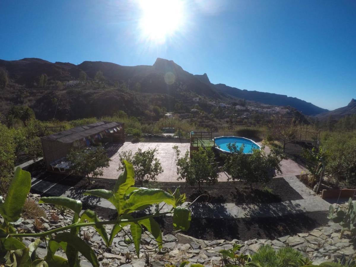 Ecotara Canary Islands Eco-villa Retreat Casa rural *