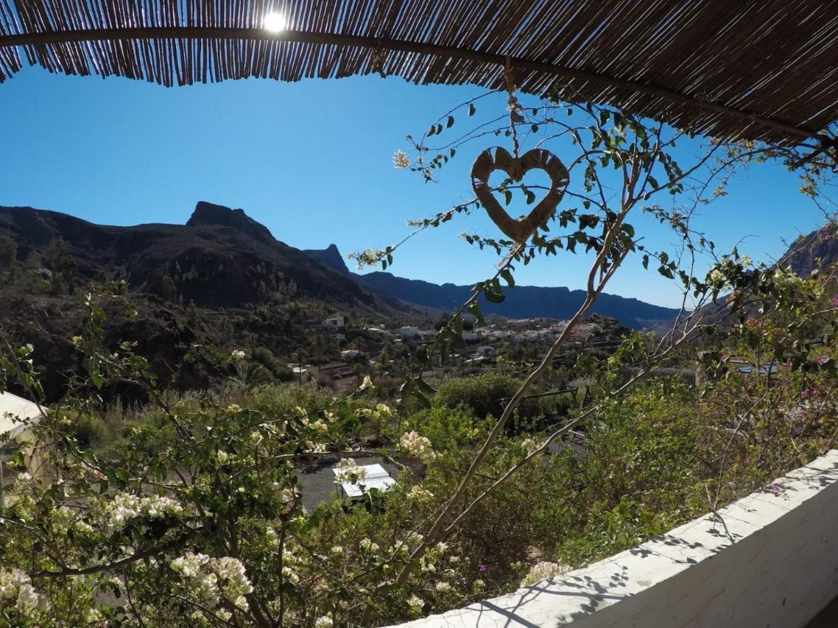 Ecotara Canary Islands Eco-villa Retreat