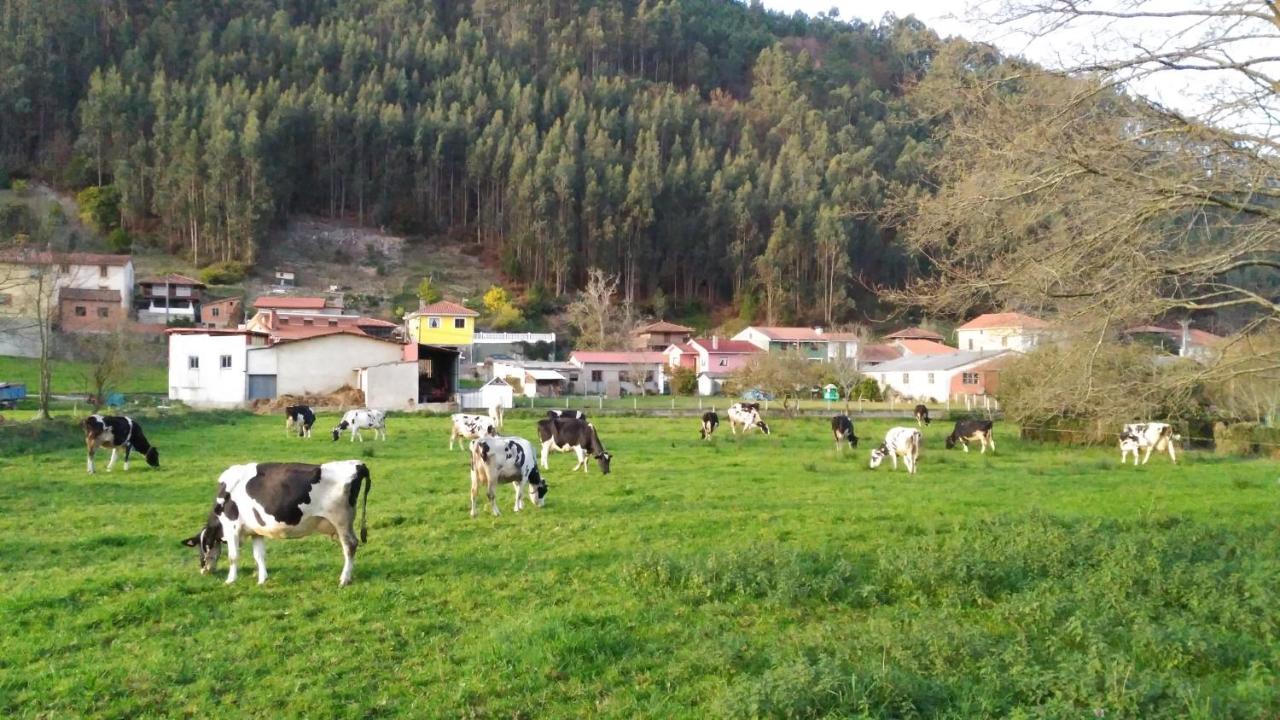 Casa Vieja Del Sastre 3* Soto de Luina