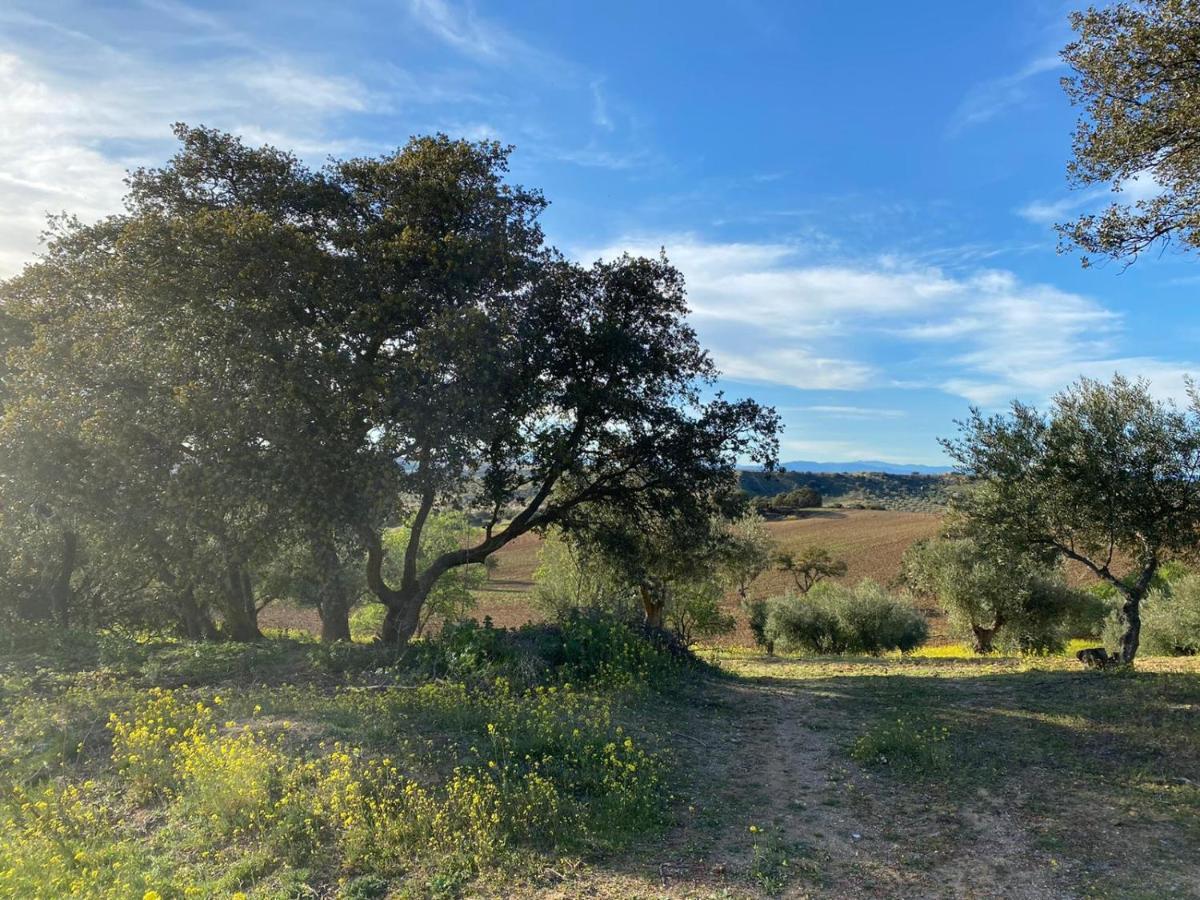 Finca Los Almendros De La Dehesa *