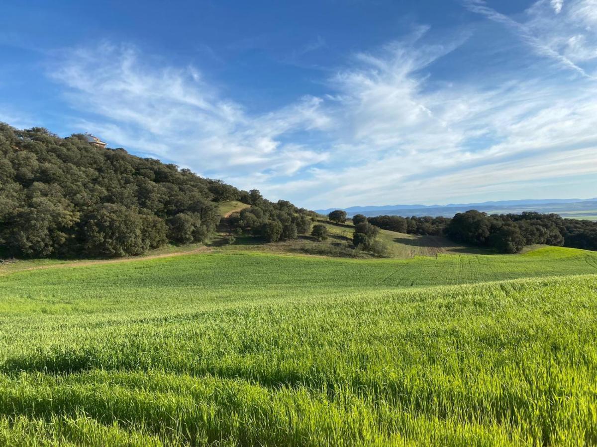 Сasa de vacaciones Finca Los Almendros De La Dehesa La Mata (Toledo)