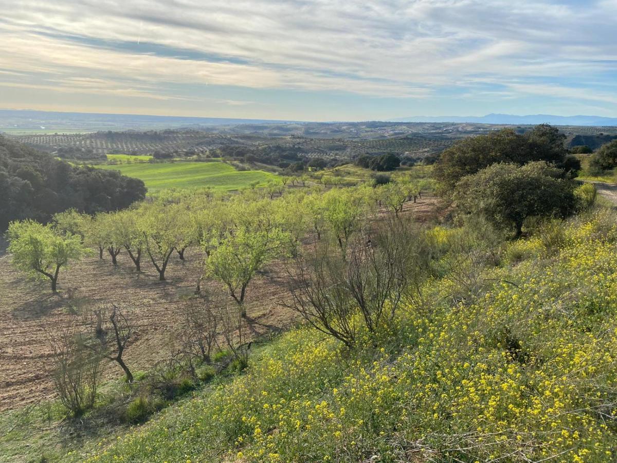 Сasa de vacaciones Finca Los Almendros De La Dehesa *