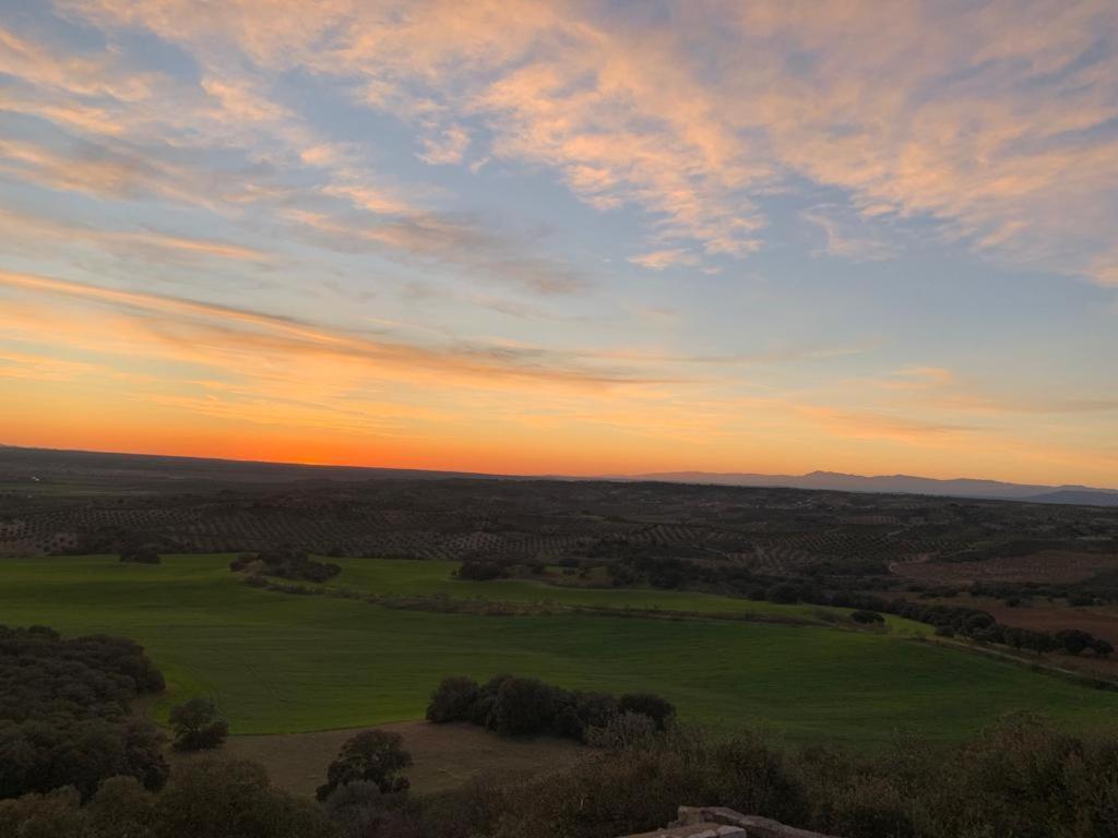 Finca Los Almendros De La Dehesa La Mata (Toledo)