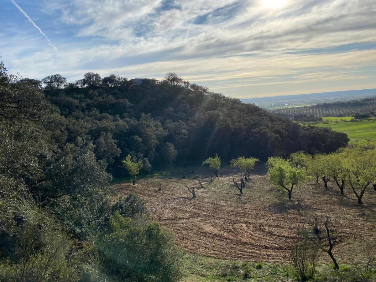 Finca Los Almendros De La Dehesa * La Mata (Toledo)