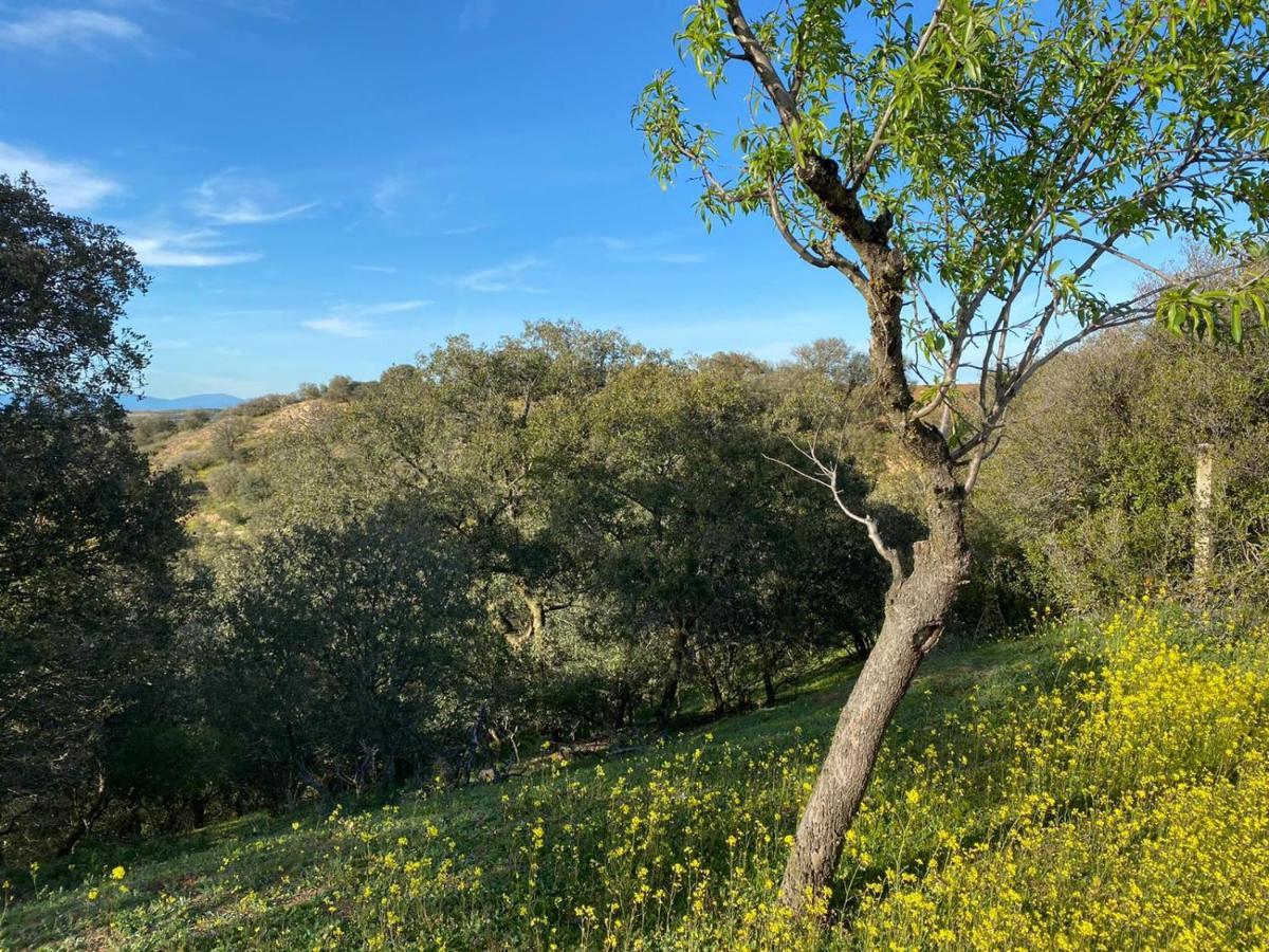 Finca Los Almendros De La Dehesa