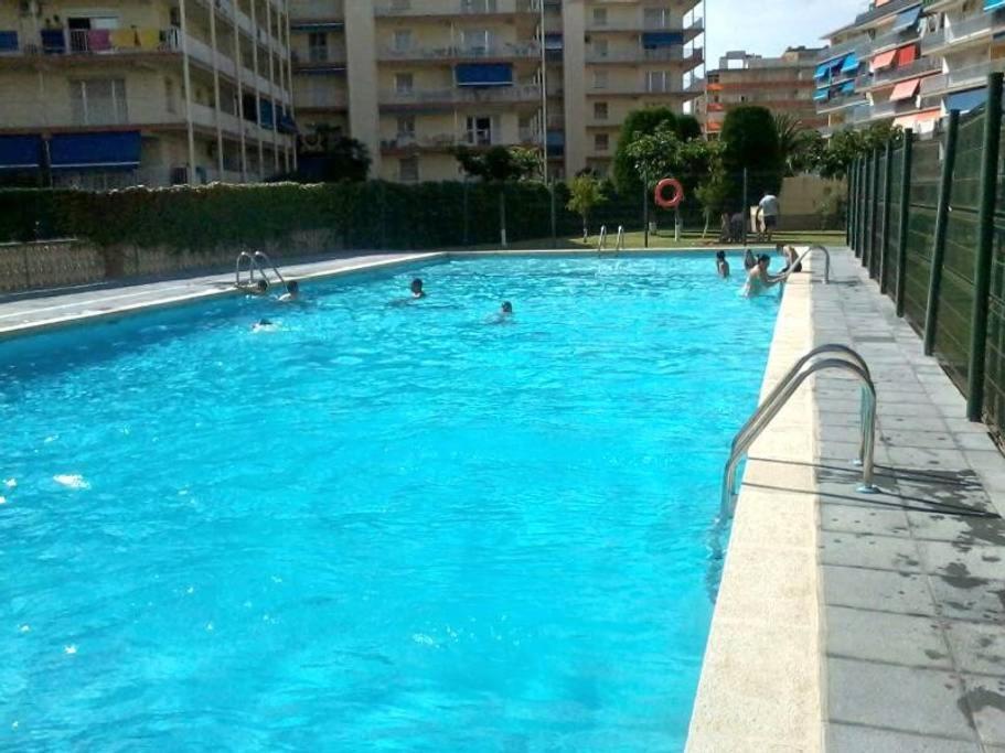 Homing 23 * La Pineda