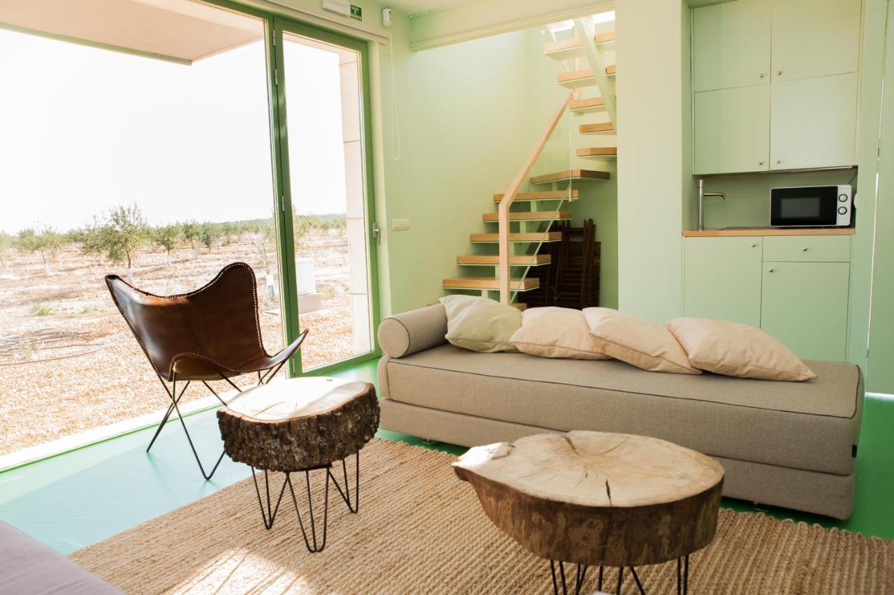 Luz De Alba Holiday home Argamasilla De Alba