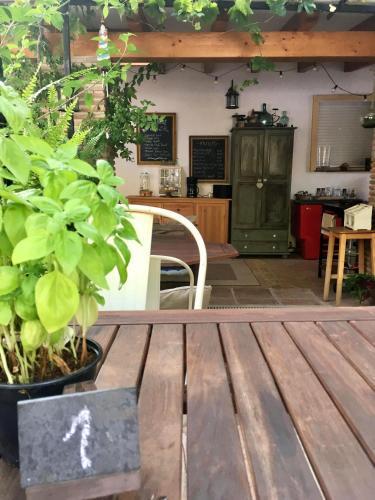 At In Malaga & Solo Travellers 4*