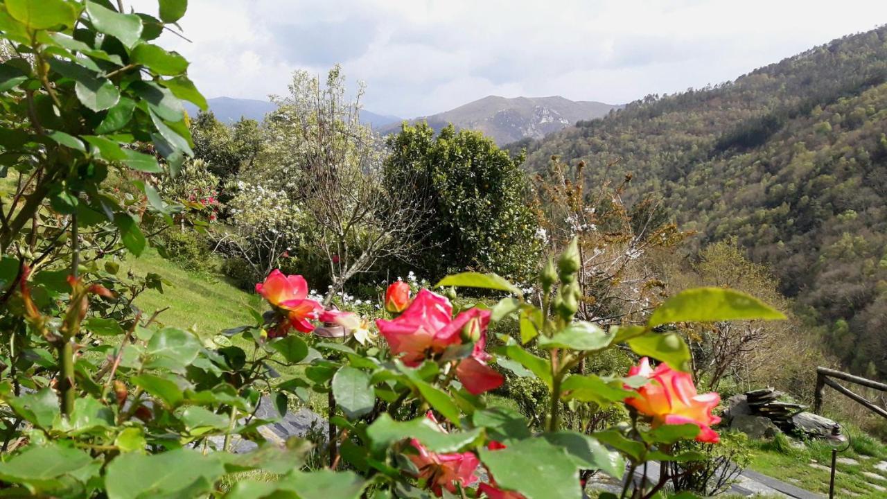 Apartment Rurales El Bosque De Vinas