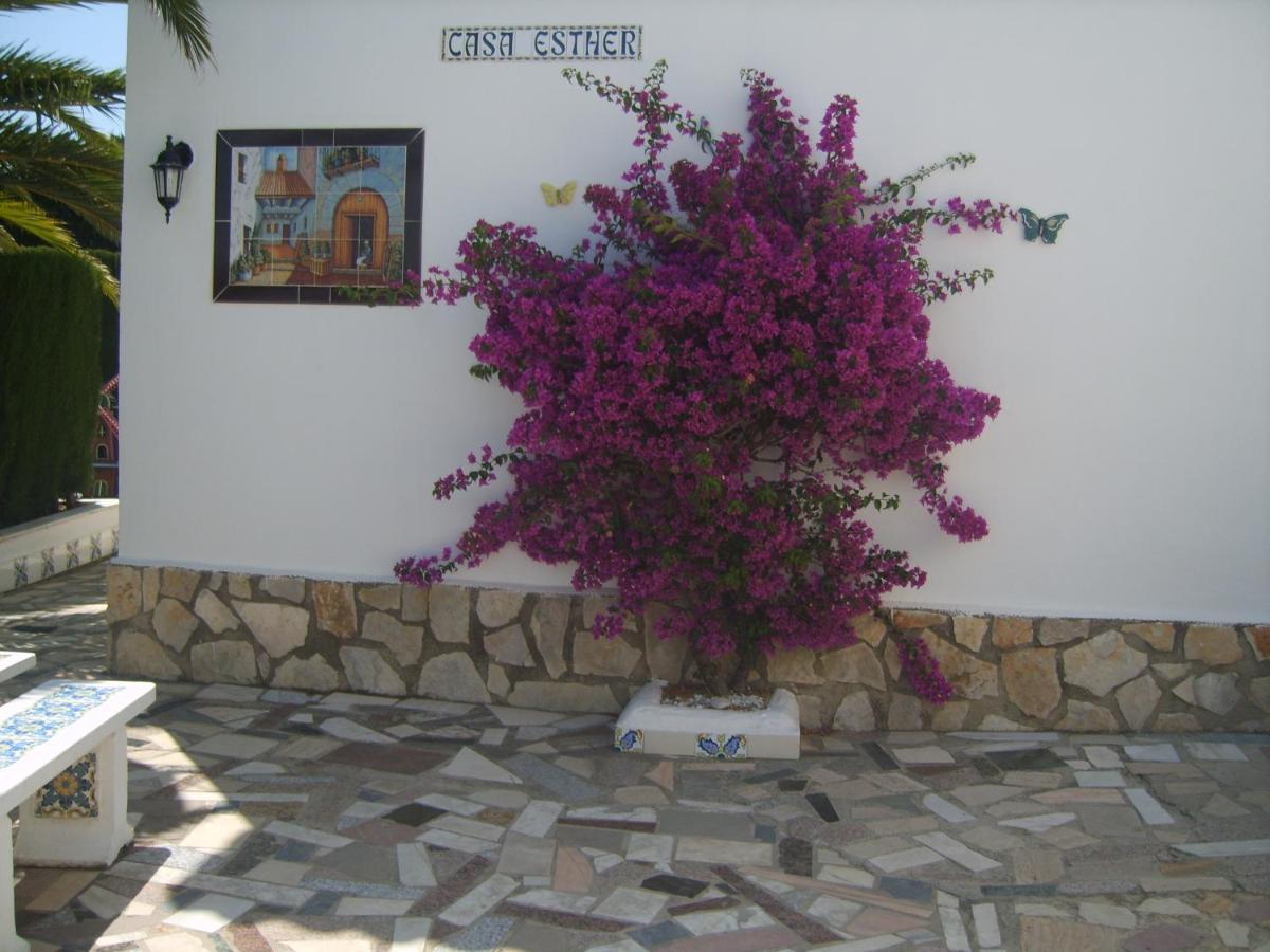 90m2, Airco 2, Pool 5x10, Sandy 200m, Wifi, Carport For 2 Cars. Holiday home *