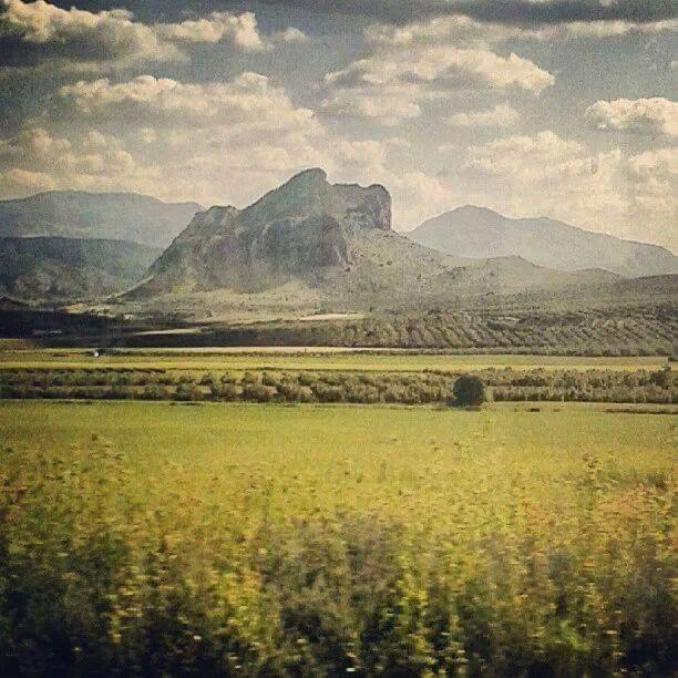 Meson El Numero Uno Antequera