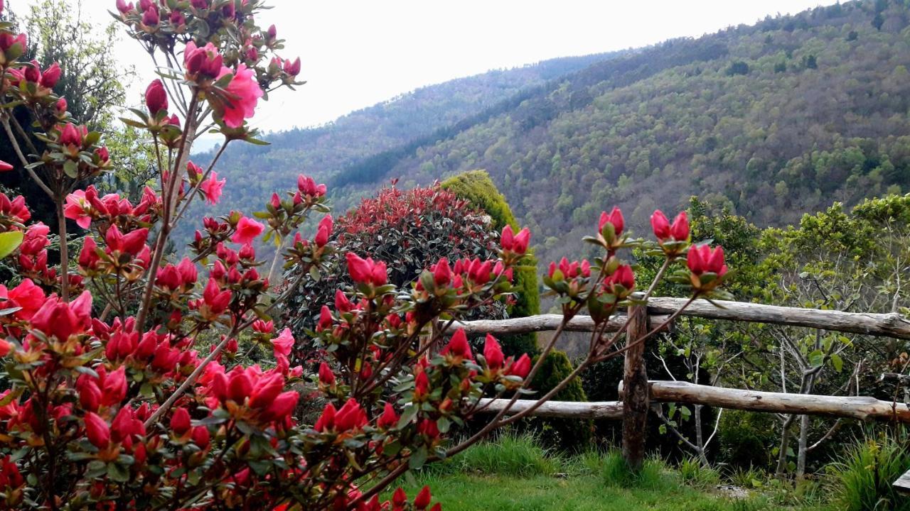 Rurales El Bosque De Vinas