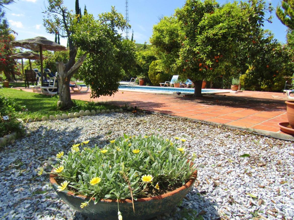 Escuela La Crujia Bed & Breakfast Velez Malaga