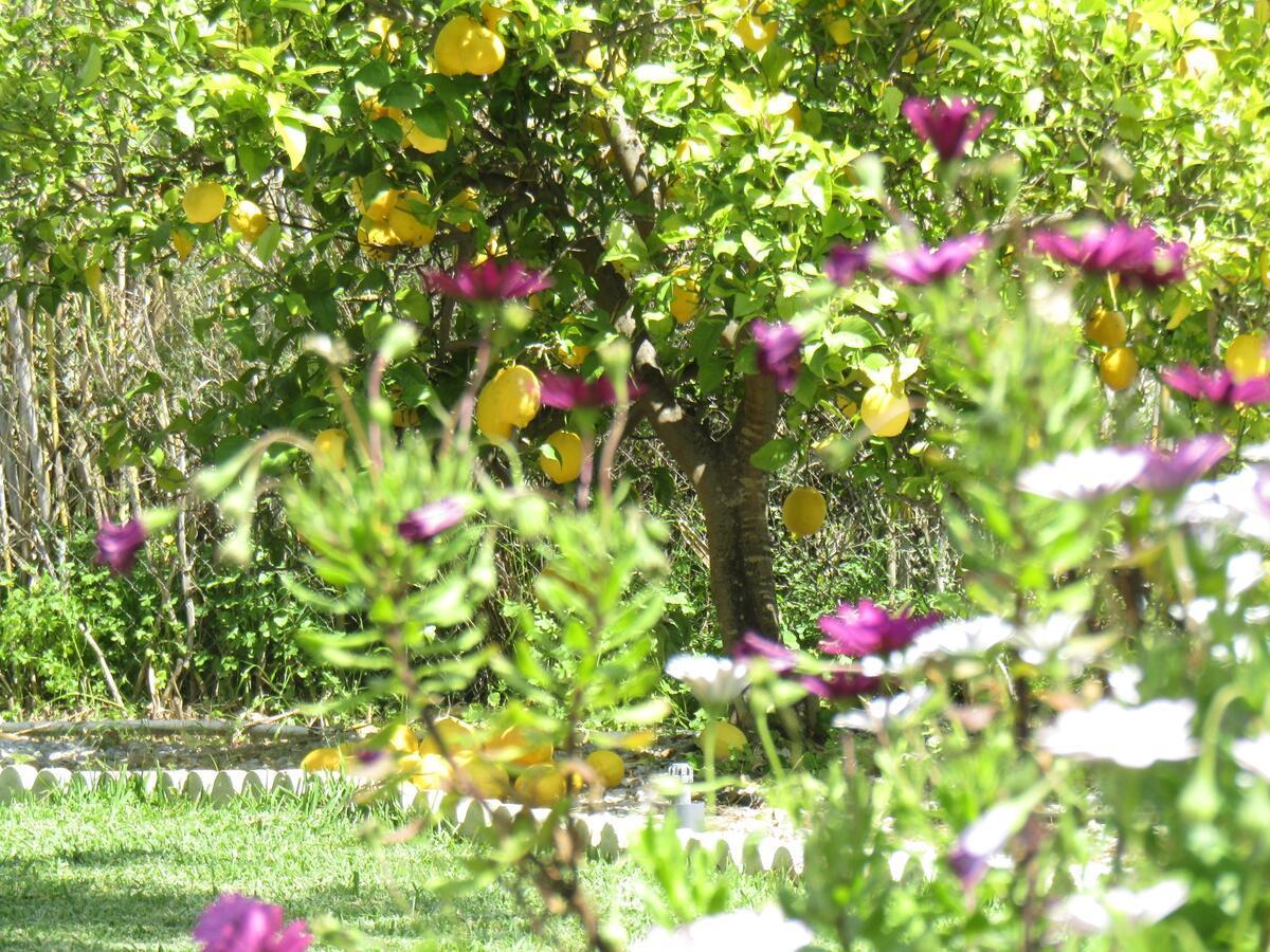 Bed & Breakfast Escuela La Crujia *