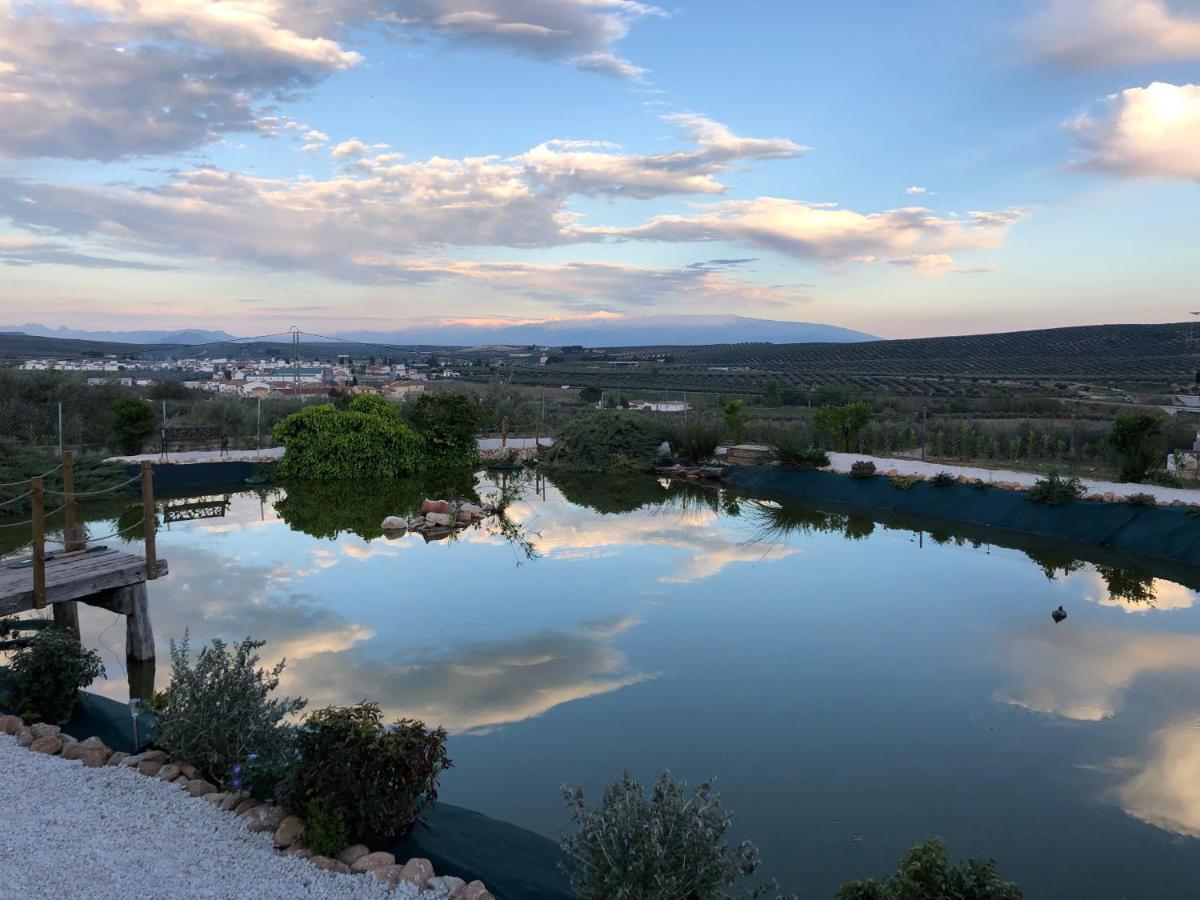 Bed and breakfast Casa Olivar *