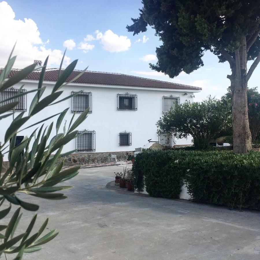 Casa Olivar * Tocon