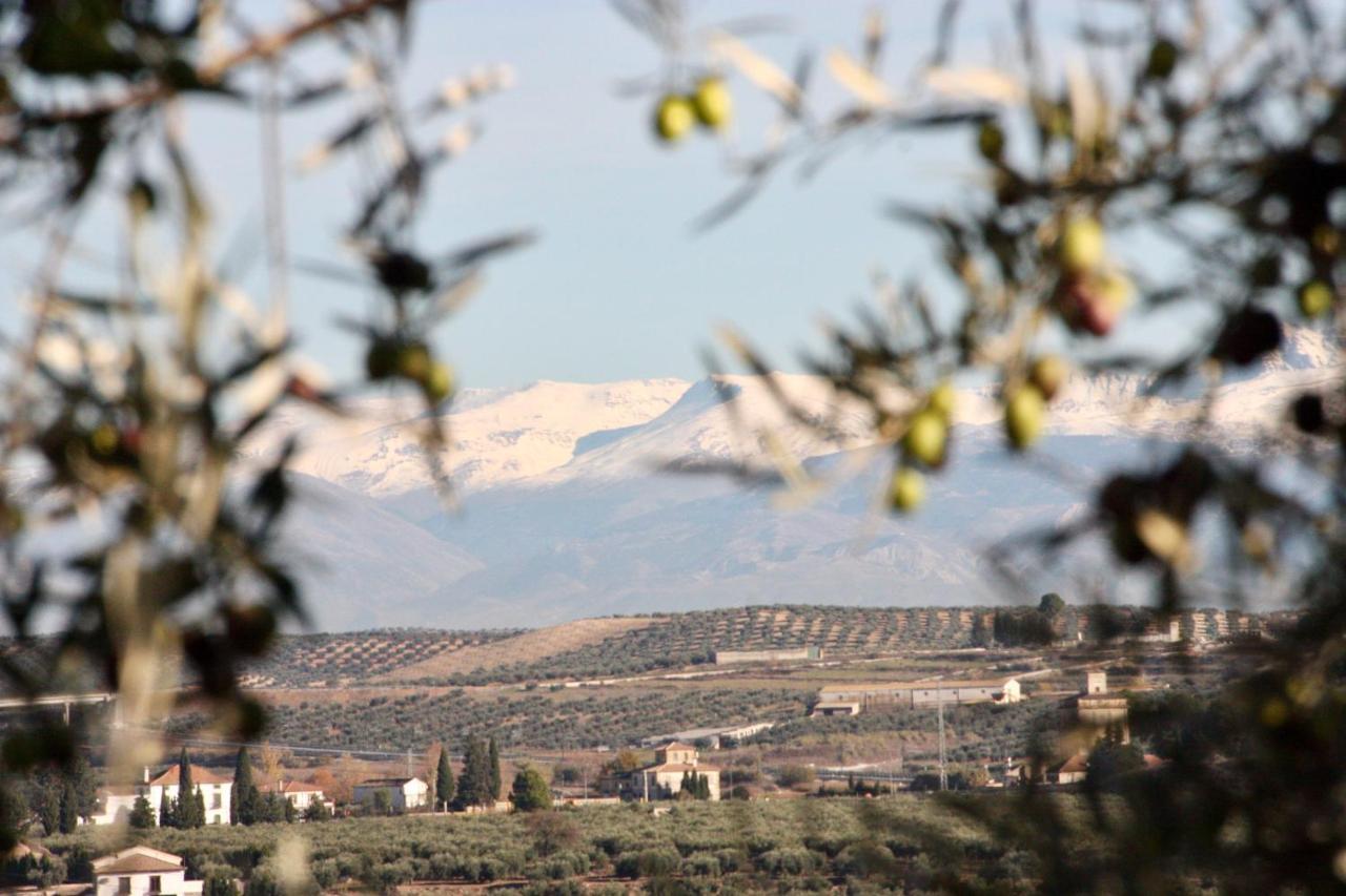 Casa Olivar Bed and breakfast