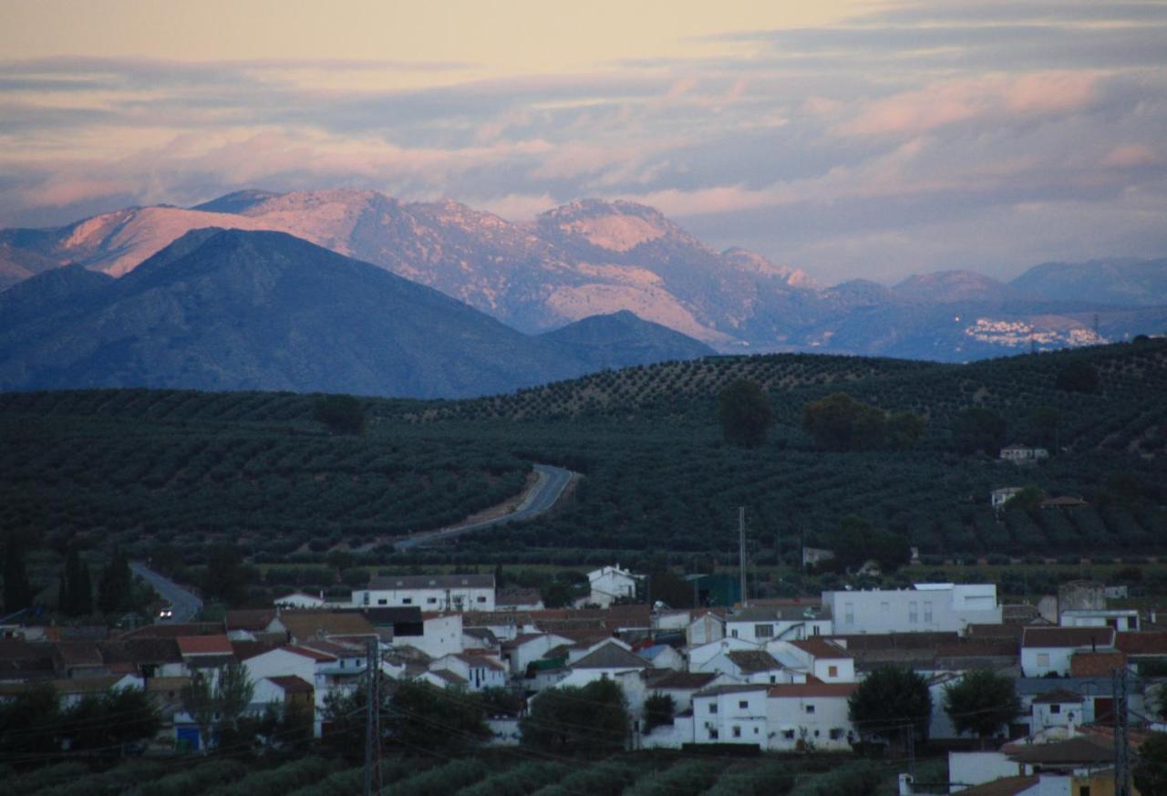 Bed and breakfast Casa Olivar