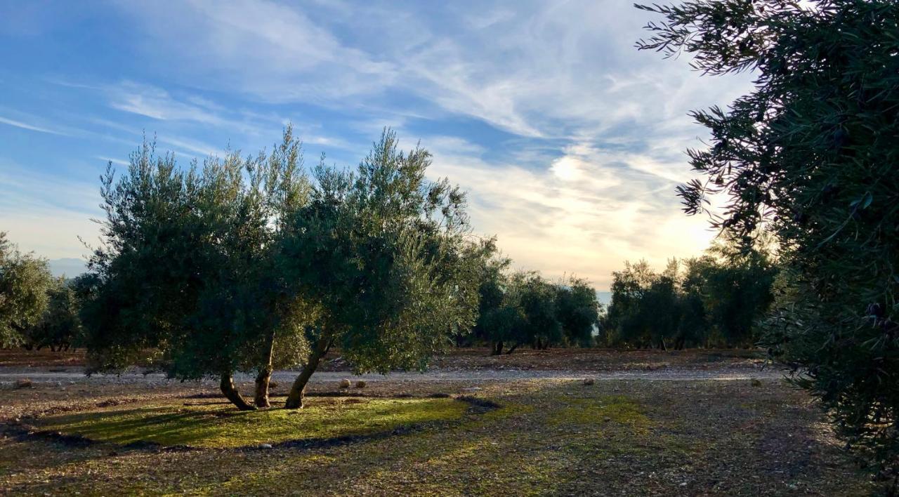 Bed and breakfast Casa Olivar *