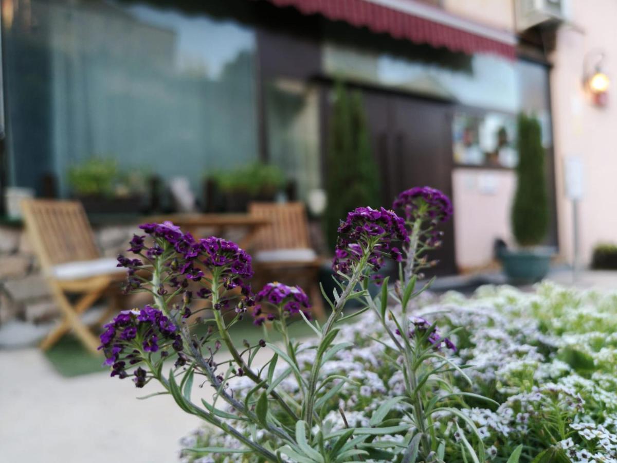 Hotel Cardamomo Sigüenza