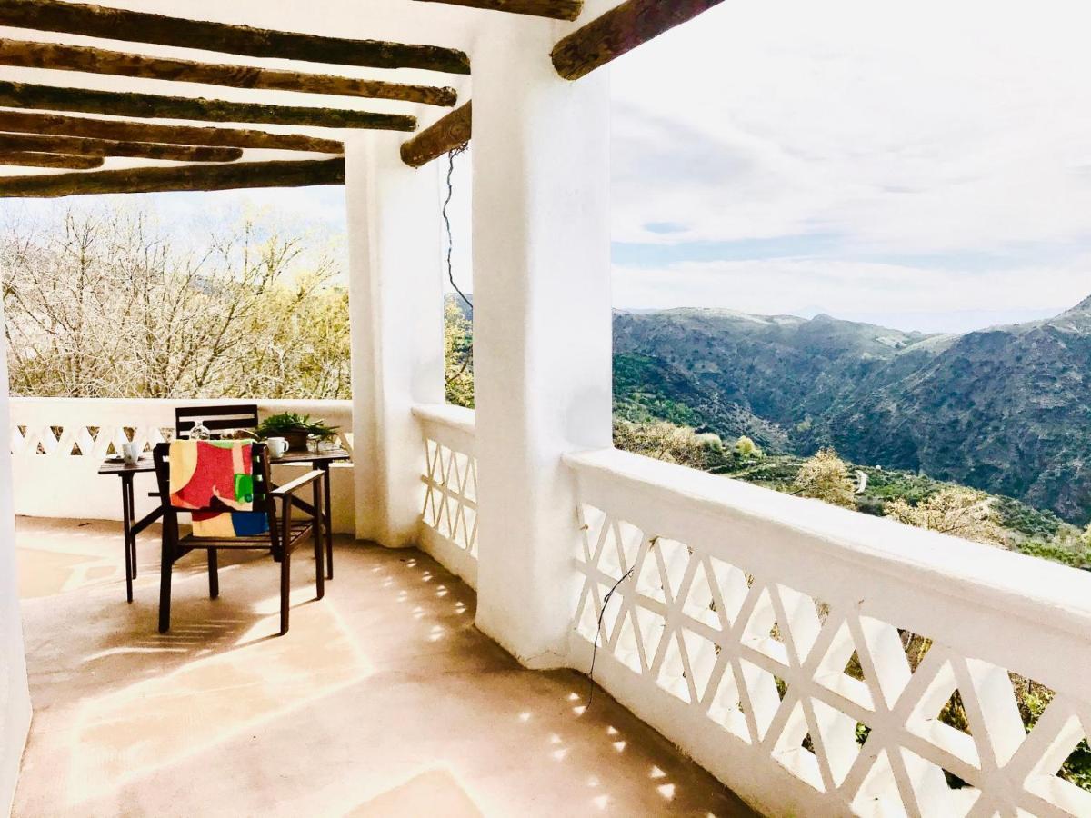 La Oveja De La Alpujarra *