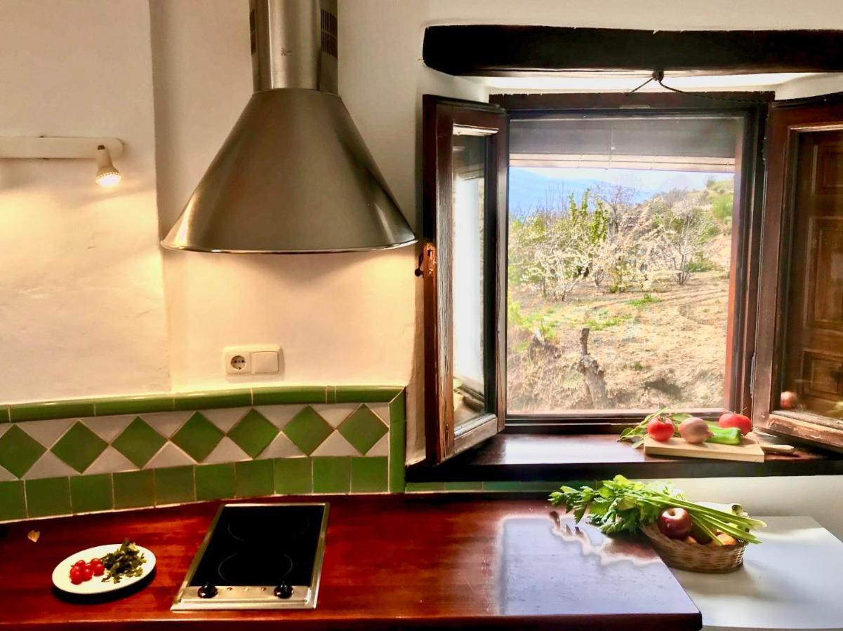 La Oveja De La Alpujarra Pitres