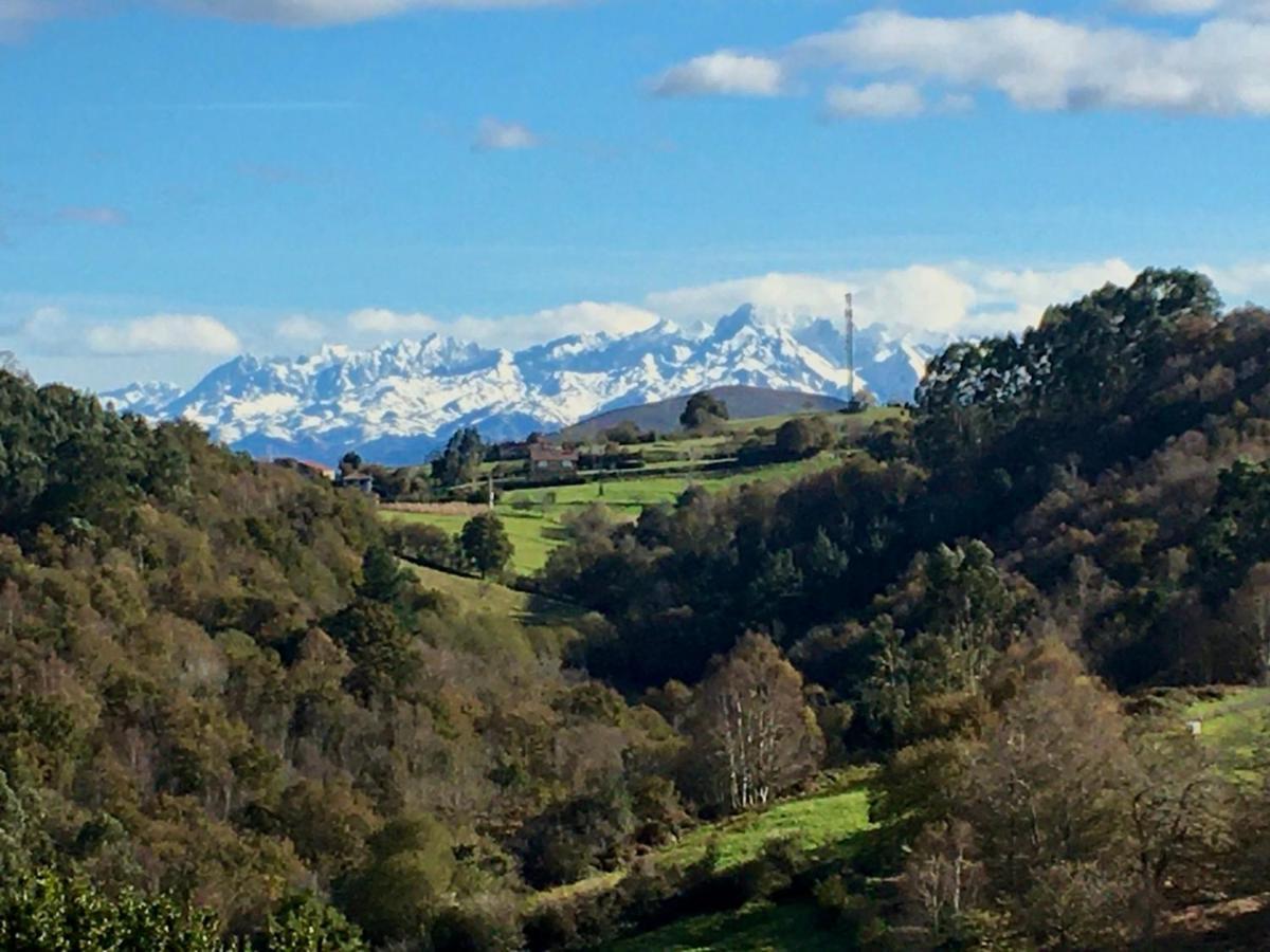Arcenoyu Rural *
