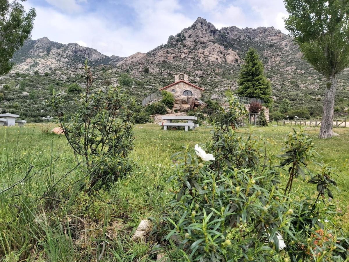 Apartment Acero Y Piedra Con Jardin Privado *