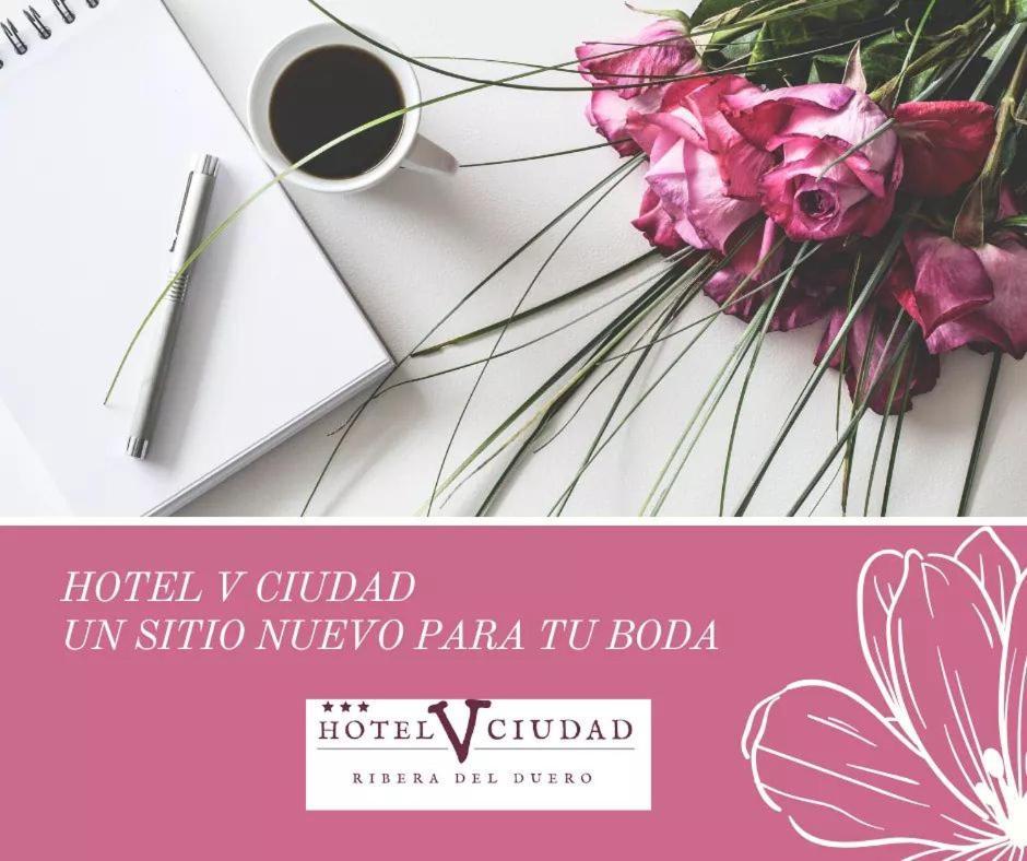Hotel V.ciudad Aranda de Duero