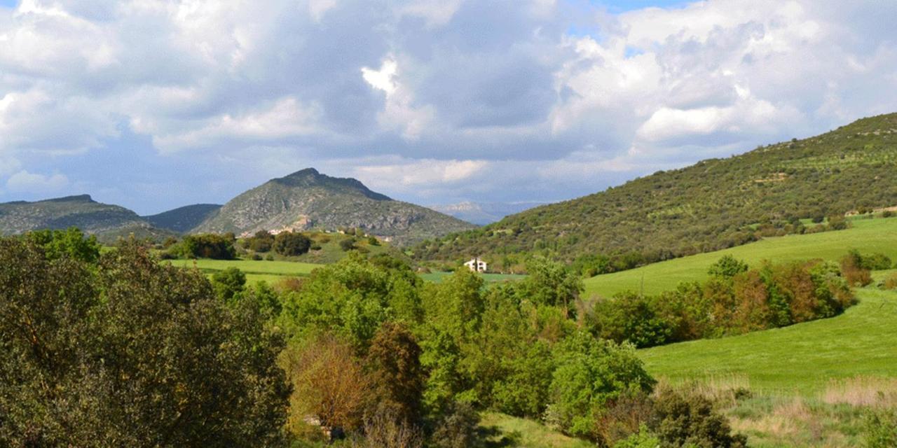 Bed and breakfast Masia Molí De Tartareu