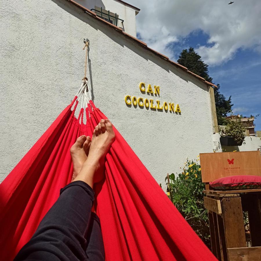 Cocollona Hostel *