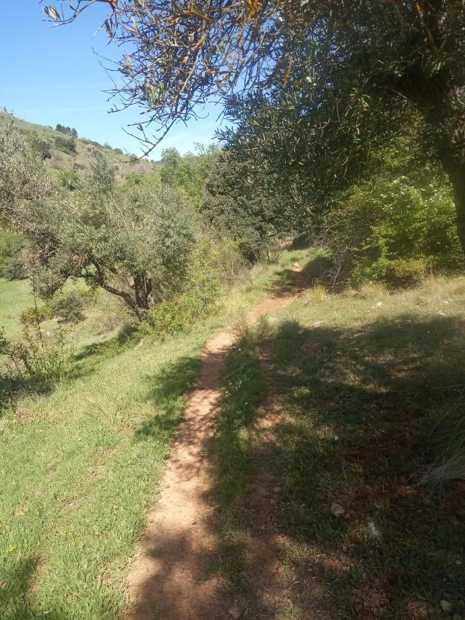 La Rueda