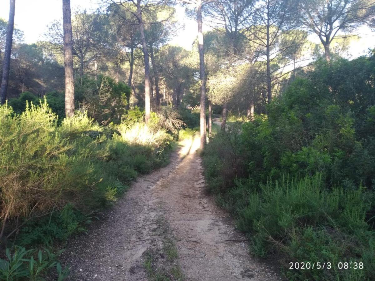 Pinos Country house