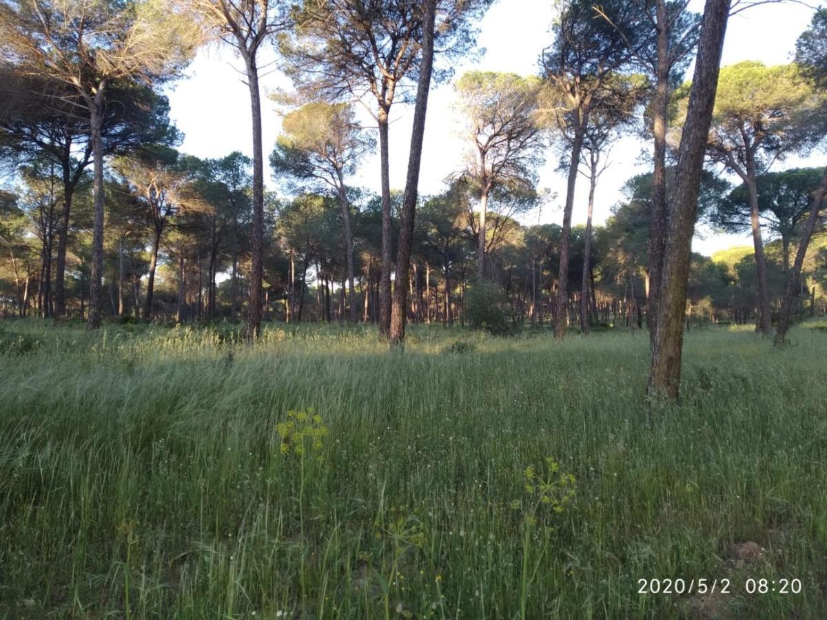 Country house Pinos