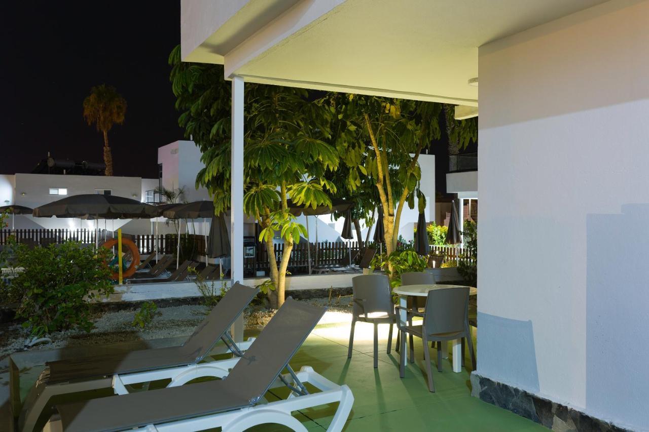 Coral Dreams 3*